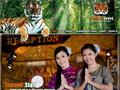Tiger Inn Patong